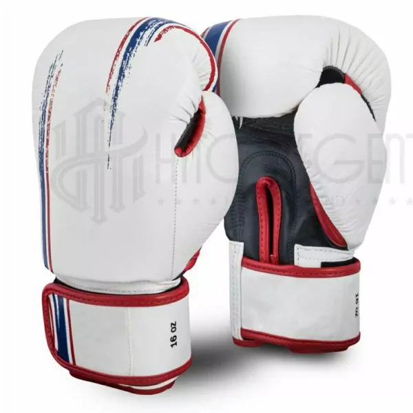 Boxing Gloves BG0001