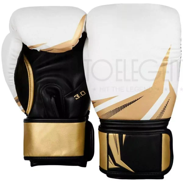 Boxing Gloves BG0005